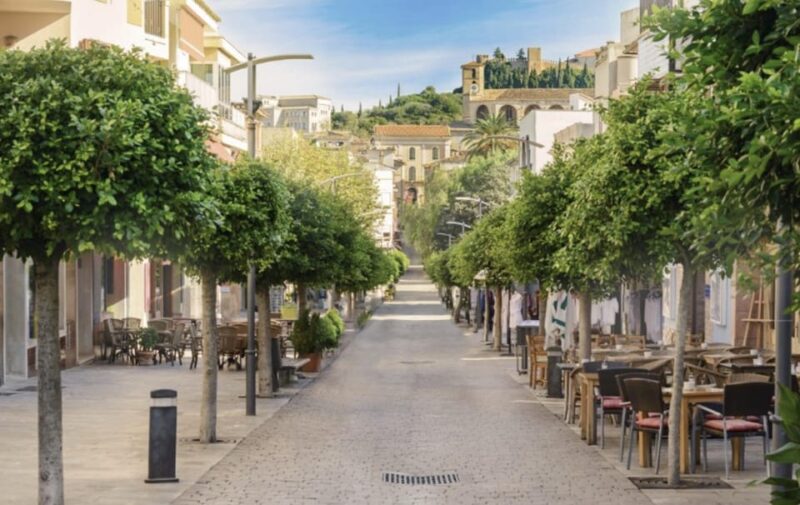 Arta Caves and Market Excursion - Exploring Artà Market