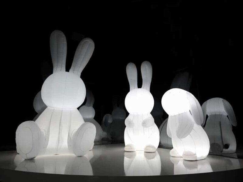 Arte Museum New York: An Immersive Media Art Exhibition - Final Thoughts