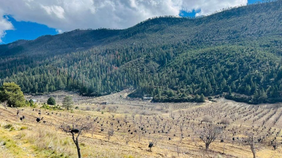 Arteaga Tour Expedition, With a Guide, Transfer, and Tickets - Sierra De La Martha Mountain Excursion