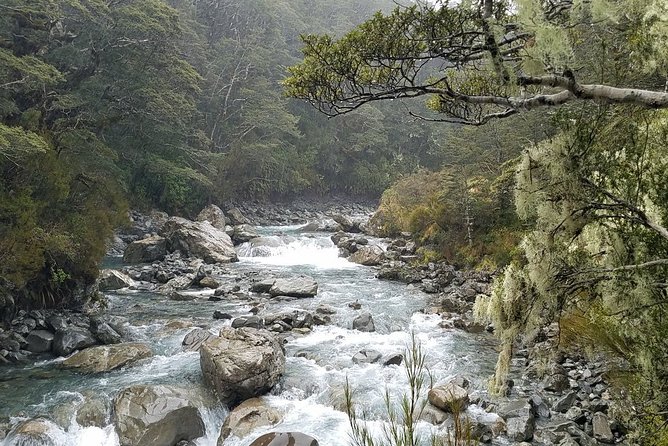 Arthurs Pass and Tranzalpine Train Day Tour From Christchurch - Exploring Arthurs Pass