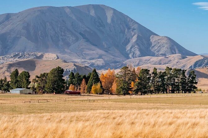Arthurs Pass Private Day Trip from Christchurch with Castle Hill - FAQ Section