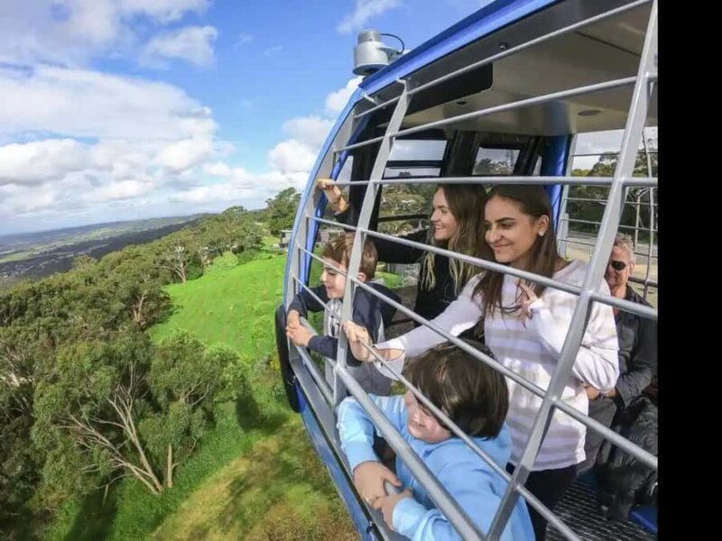 Arthurs Seat Eagle: Scenic Gondola Ride - Key Points