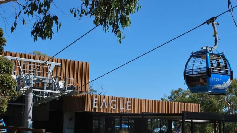 Arthurs Seat Eagle: Scenic Gondola Ride - A Scenic Ride Less Than an Hour from Melbourne