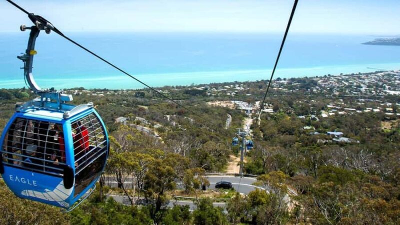 Arthurs Seat Eagle: Scenic Gondola Ride - Exploring the Summit and Nearby Attractions
