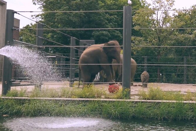 Artis Royal Zoo Tickets in Amsterdam - Whats Included