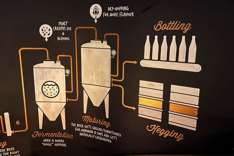 Artisanal Beer Tasting - In-Depth Look at the Experience