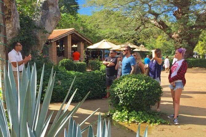 Artisans Town and Agave Distilled Factory - The Experience: A Closer Look at Each Stop