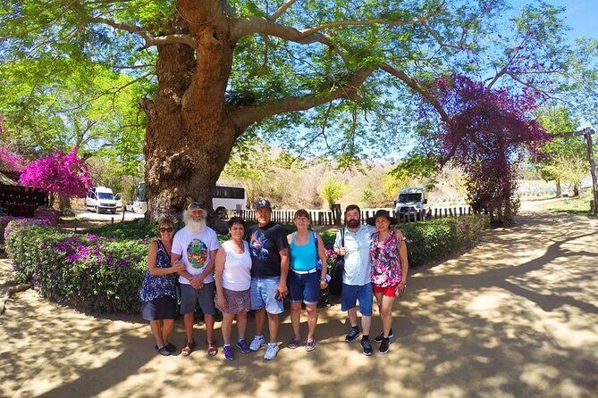 Artisans Town and Agave Distilled Factory - How Do the Reviews Reflect the Experience?