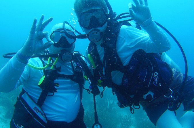 Aruba 1-Tank guided Dive for certified divers with own equipment - Why Choose This Tour?