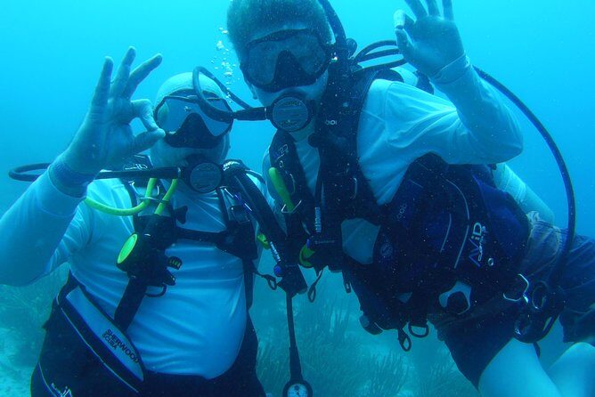 Aruba 1-Tank guided Dive for certified divers with own equipment - Final Thoughts: Who Should Sign Up?