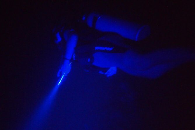 Aruba 1-Tank guided UV Night Dive for certified divers with rental equipment - The Authentic Value of the Experience