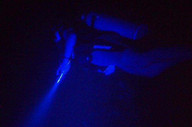 Aruba 1-Tank guided UV Night Dive for certified divers with rental equipment - FAQs