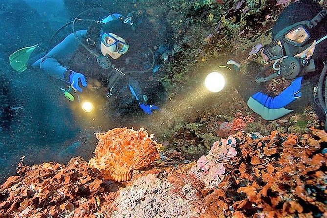 Aruba 1-Tank Night Dive With Rental Gear for Certified Divers - Diving With an Instructor