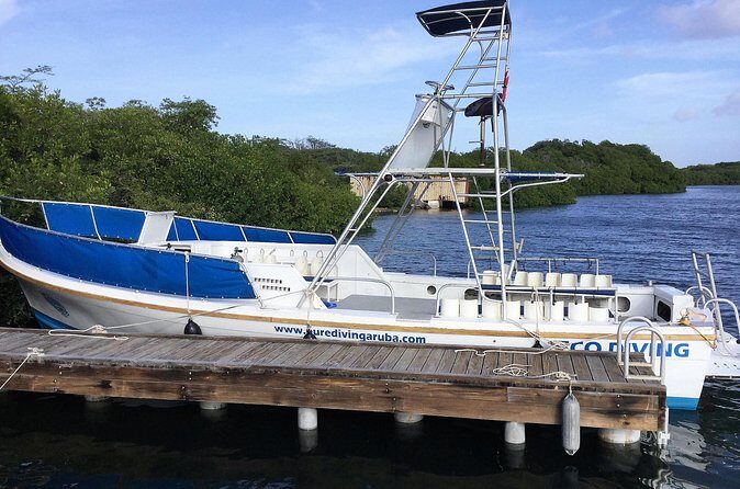 Aruba 2-Tank guided Dive for certified divers / own equipment - Value and Pricing