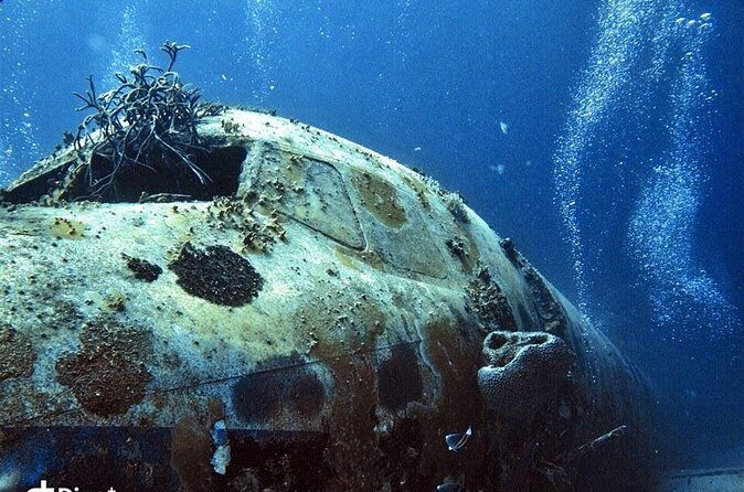 Aruba 2-Tank Guided Dive for Certified Divers / rental equipment - Who Will Love This Tour?