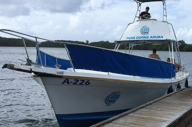 Aruba 2-Tank Guided Dive for Certified Divers / rental equipment - The Sum Up