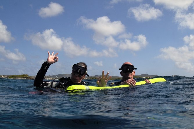 Aruba 2-Tank Guided Dive for Certified Divers With Own Equipment - Marine Life Encountered
