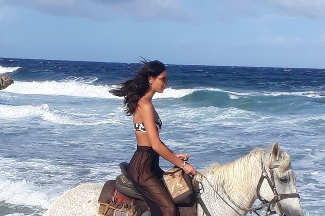 Aruba 2,5 Hrs Horseback Riding for Advanced Riders - Unique Riding Experience