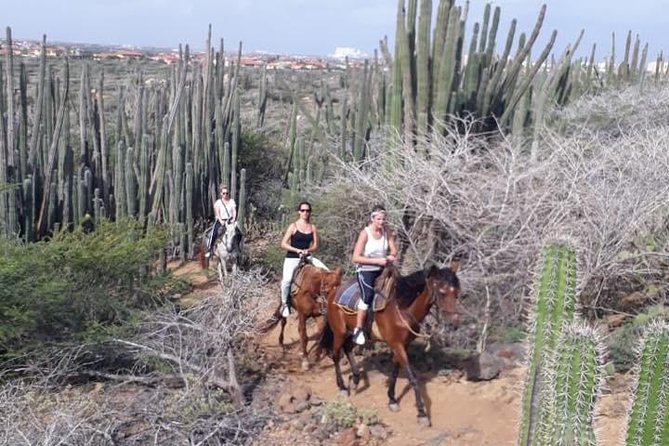 Aruba 2,5 Hrs Horseback Riding for Advanced Riders - Terrain and Scenery