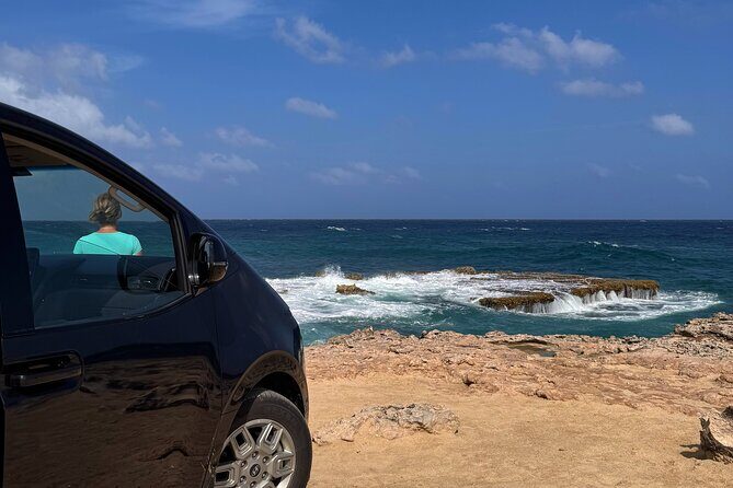 Aruba 6 Hours Private Island Tour - Who Will Love This Tour?