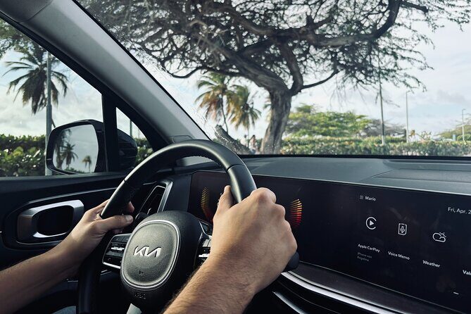 Aruba Airport Private Transfer: Start Your Vacation Stress-Free - Seamless and Reliable Arrival