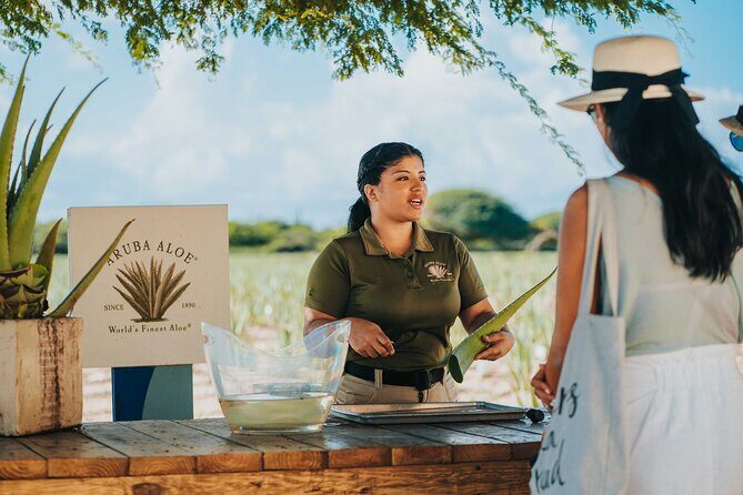 Aruba Baby Beach Express Tour - Aruba Baby Beach Express Tour Review