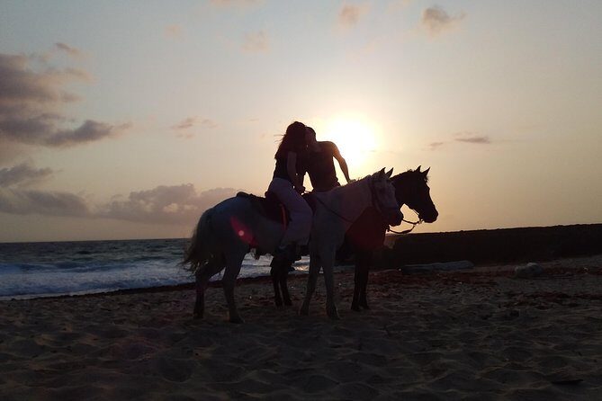 Aruba Beach Ecological Horseback Ride - The Sum Up