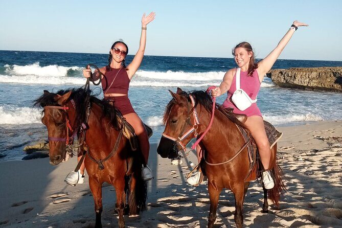 Aruba Beach Ecological Horseback Ride - FAQ
