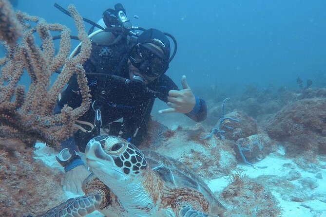 Aruba Certified Scuba Diving - Who Will Love This Tour?