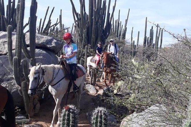 Aruba Countryside: Horseback Adventure to Urirama Cove - The Sum Up: Is This Tour Worth It?