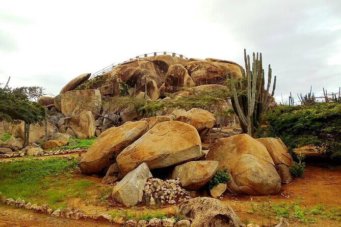 Aruba Cruise Port Tours - FAQs