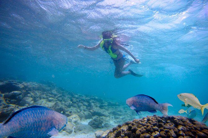 Aruba De Palm Island Day Pass - FAQ