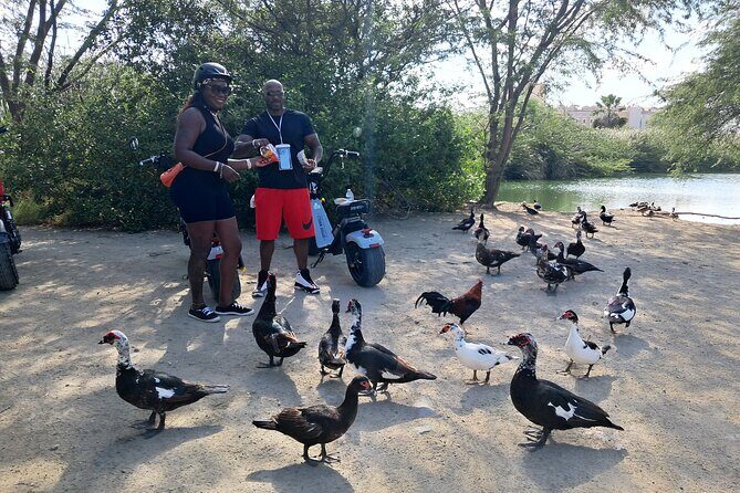 Aruba Electric Scooter Rental (1 or 2-seater) - Who Should Consider This Experience?