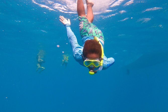 Aruba Element Private Boat Charter (After-Lounge) - What the Reviews Say: Real Experiences