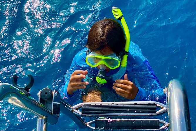 Aruba Element Private Boat Charter (After-Lounge) - Is This Tour Worth the Price?