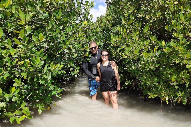 Aruba Glass Bottom Kayak Tour through the Mangrove Forest - A Detailed Look at What to Expect