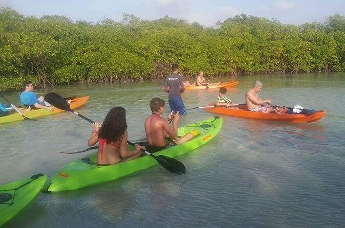 Aruba Glass Bottom Kayak Tour through the Mangrove Forest - Pricing and Value