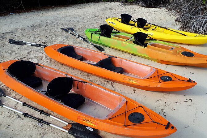 Aruba Glass Bottom Kayak Tour through the Mangrove Forest - The Sum Up