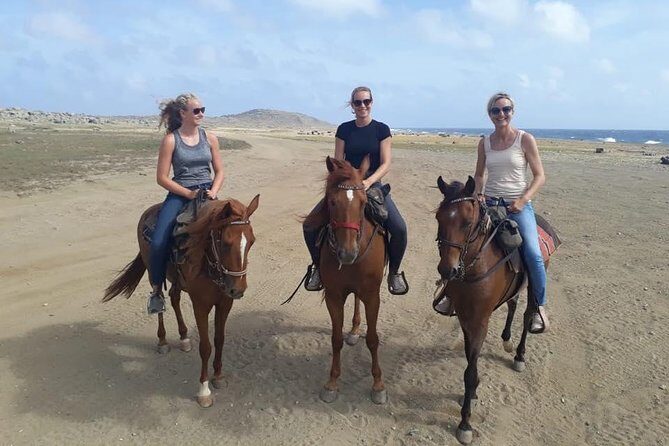 Aruba Horseback Riding Tour For Advanced Riders - Review of the Aruba Horseback Riding Tour For Advanced Riders