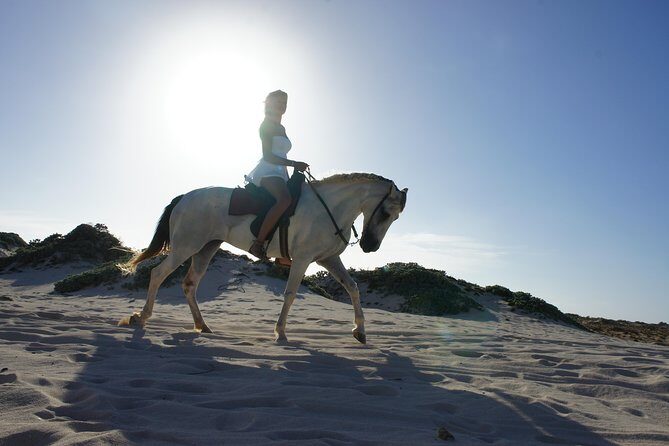 Aruba Horseback Riding Tour For Advanced Riders - FAQ