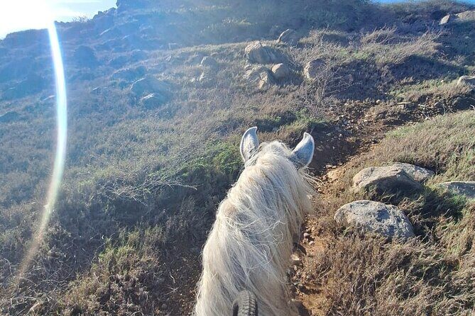 Aruba Horseback Riding Tour For Advanced Riders - Final Wrap-up