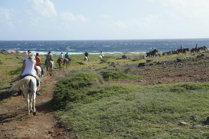 Aruba Horseback Riding Tour to Hidden Lagoon - The Highlight: The Hidden Lagoon