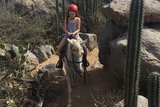 Aruba Horseback Riding Tour to Hidden Lagoon - The Practical Details