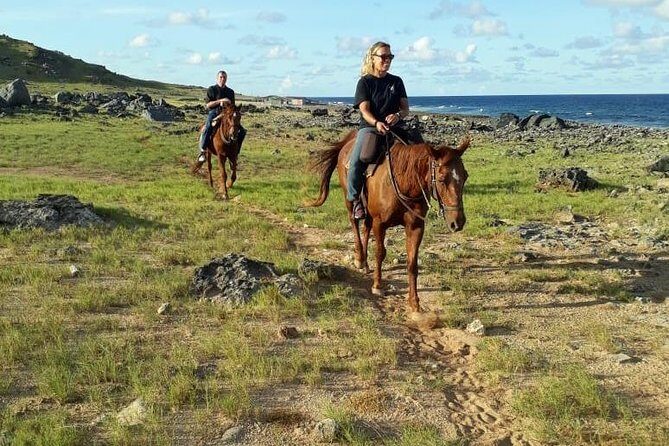 Aruba Horseback Riding Tour to Hidden Lagoon - The Authentic Experience and Traveler Feedback