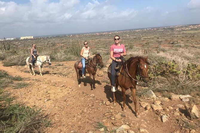Aruba Horseback Riding Tour to Hidden Lagoon - Who Should Consider This Tour?
