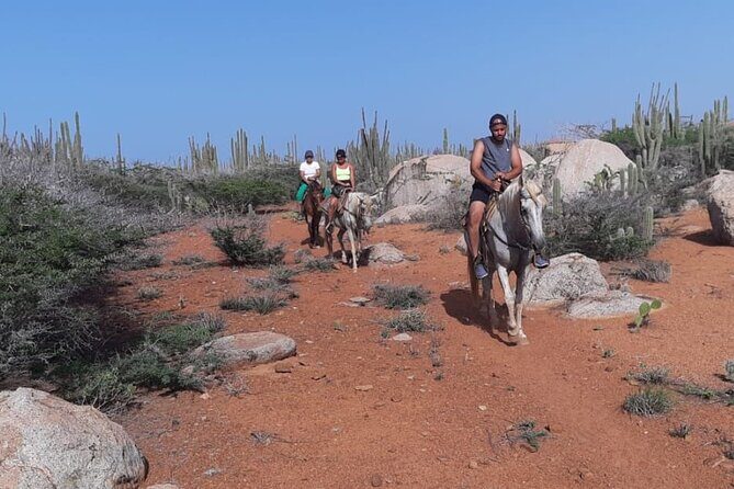 Aruba Horseback Riding Tour to Hidden Lagoon - FAQ