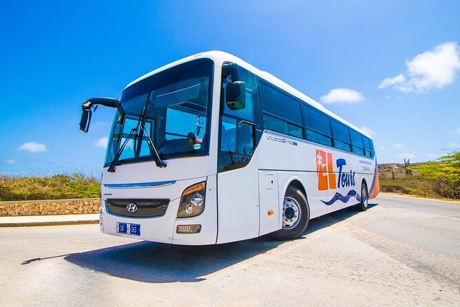 Aruba Island Sightseeing Tour - Authenticity & Visitor Feedback