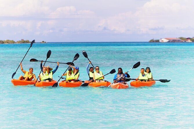 Aruba Kayak Explorers - Key Points