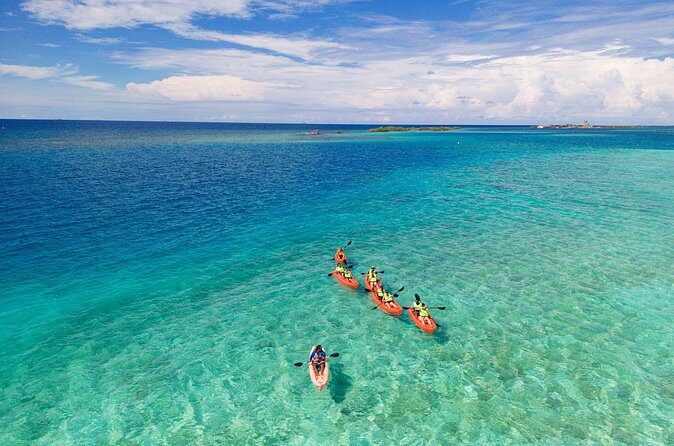 Aruba Kayak Explorers - Who Should Consider This Tour?
