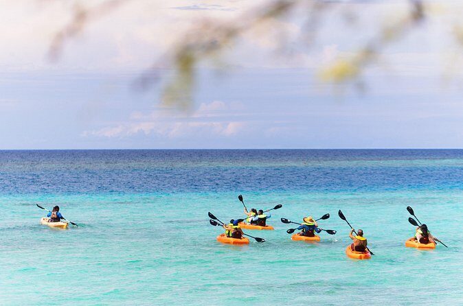 Aruba Kayak Explorers - FAQ